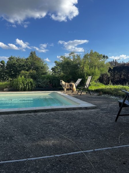 La Pension de l'Olivier - photo 2