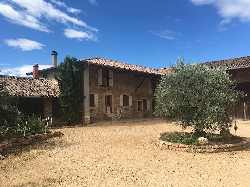 La Pension de l'Olivier - photo 3