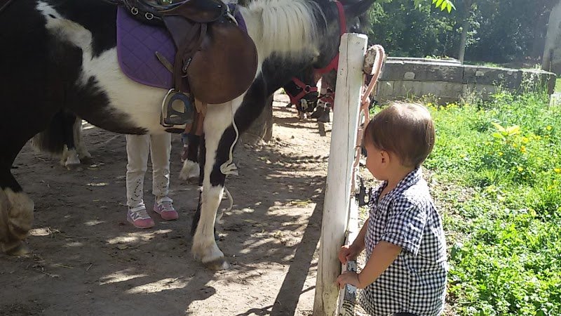 LES ÉCURIES DE CIRCÉ - photo 2