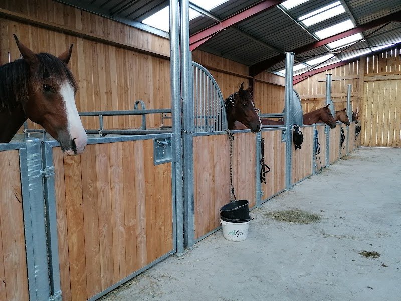 Ever Ranch, pension pour chevaux - photo 1