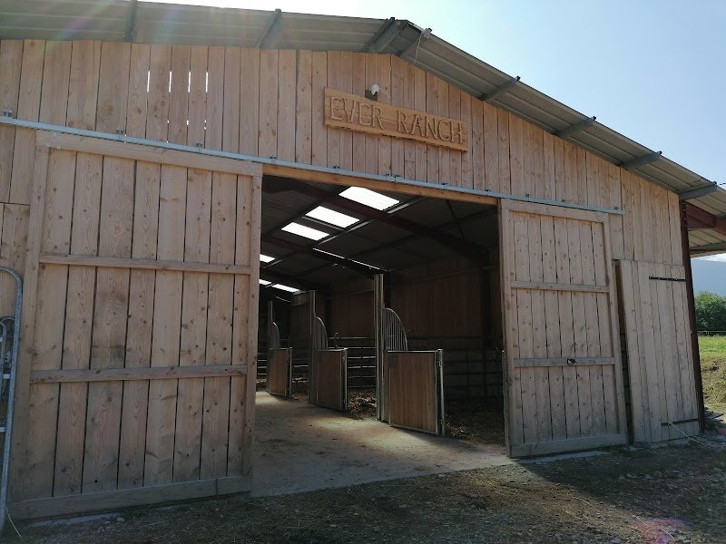 Ever Ranch, pension pour chevaux - photo 3