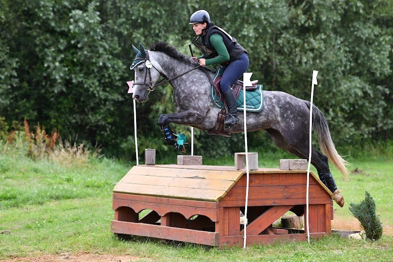 Écurie LB Eventing - photo 1