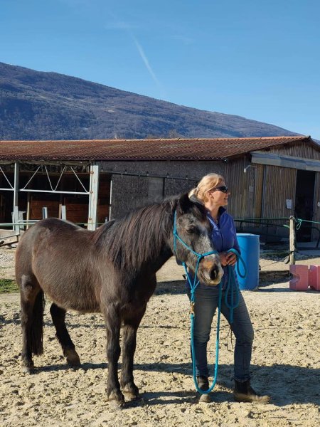 Centre Equestre des 2 Vallées