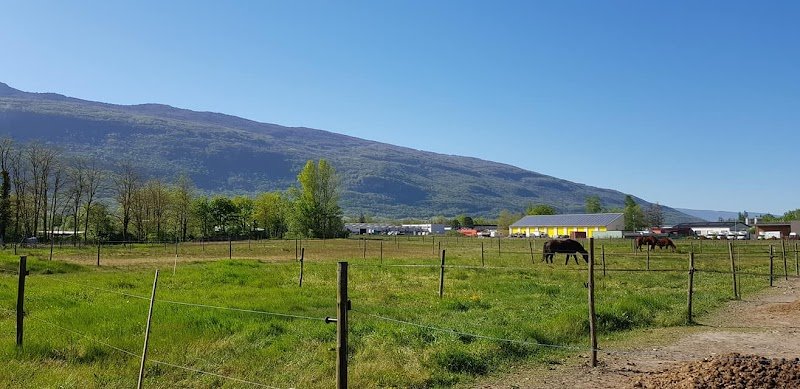 Centre Equestre des 2 Vallées - photo 2