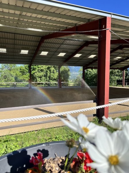 Écurie SALVADOR - photo 2