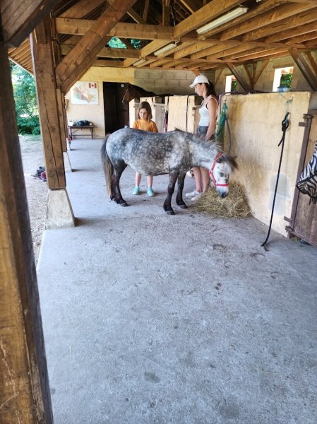 Centre Équestre Terre & Ciel - photo 1