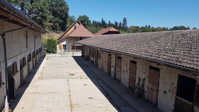 Haras de Botozel - photo 2