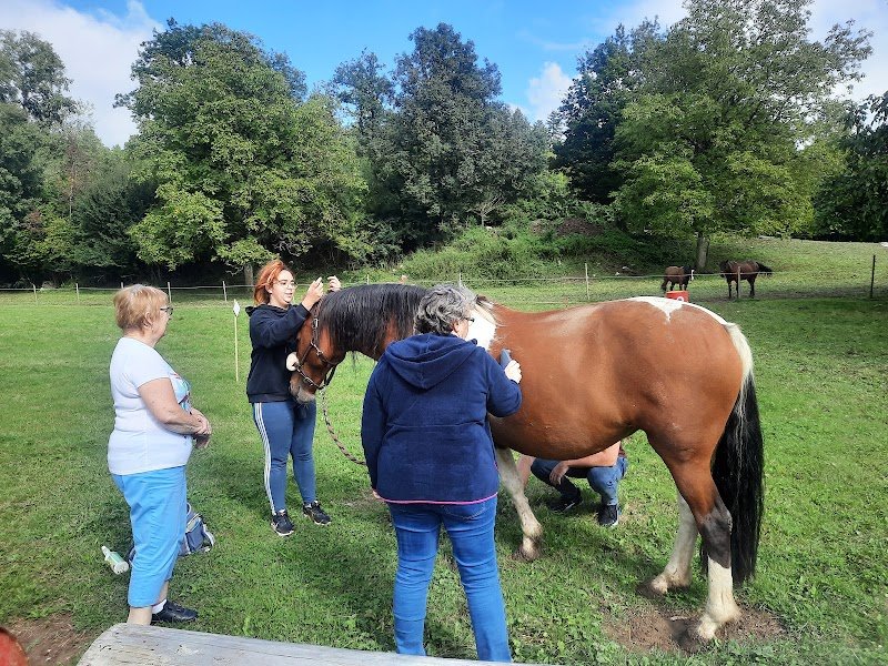 Haras de Botozel - photo 3