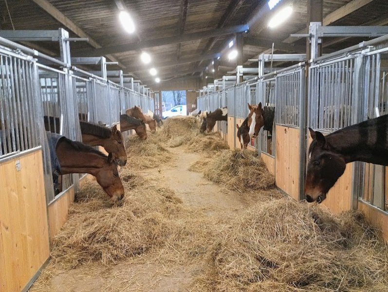 Écuries du Chenelet - photo 1