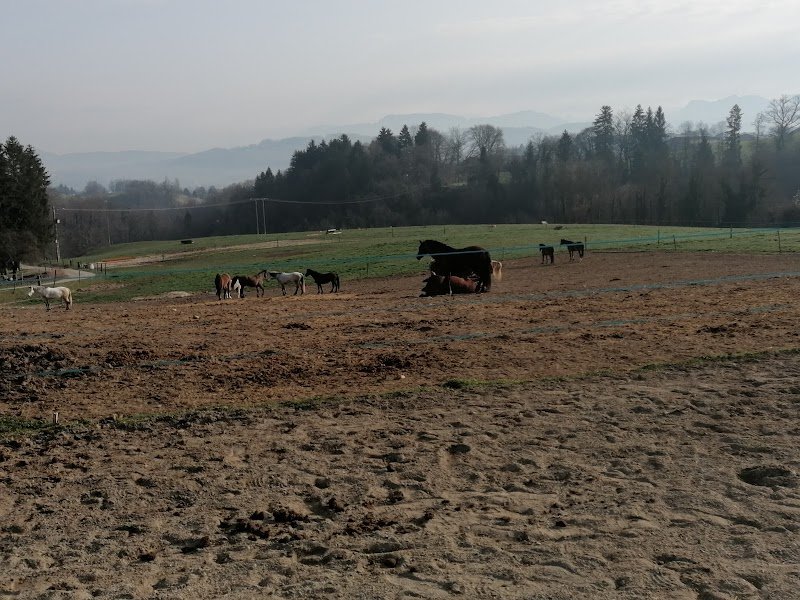 Écuries du Chenelet - photo 2
