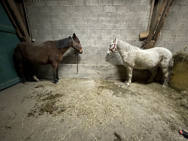 Les Ecuries de Chainaz - photo 1