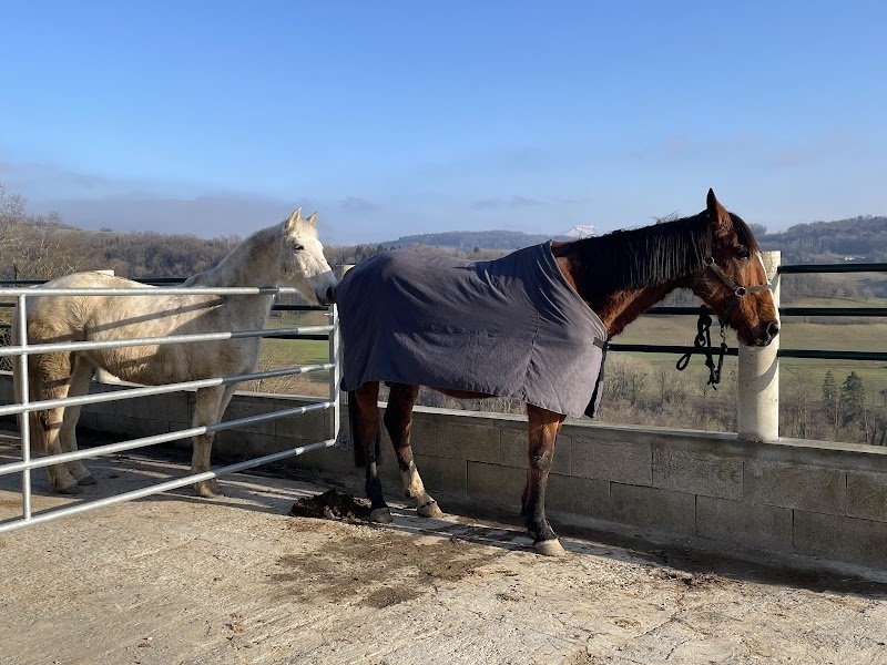 Les Ecuries de Chainaz - photo 3