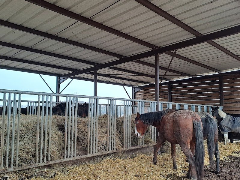 domaine équestre d'Iselay - photo 1