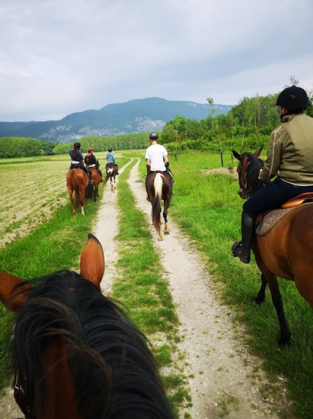 domaine équestre d'Iselay - photo 2