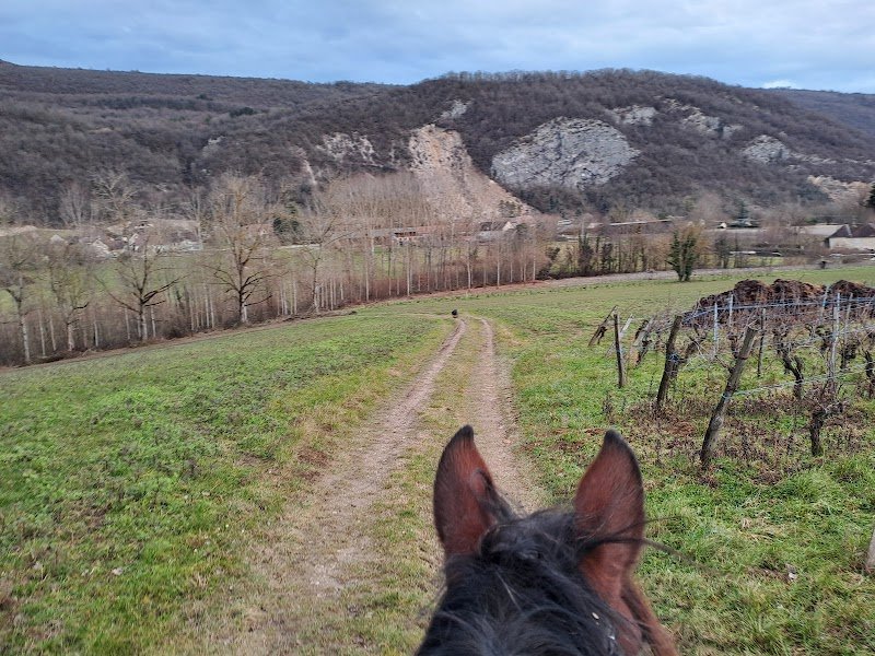 domaine équestre d'Iselay - photo 3