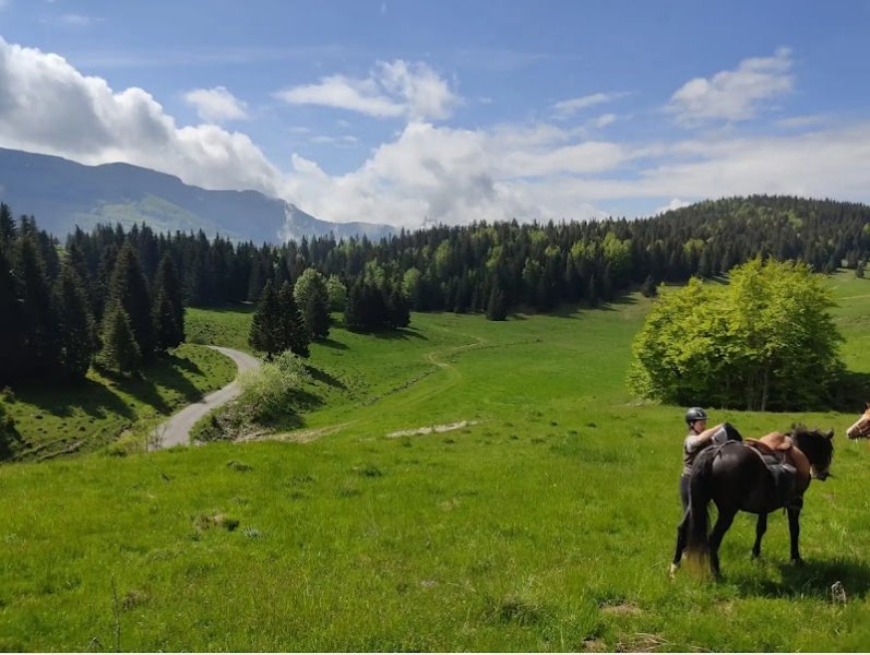 Ferme Equestre du Berbois