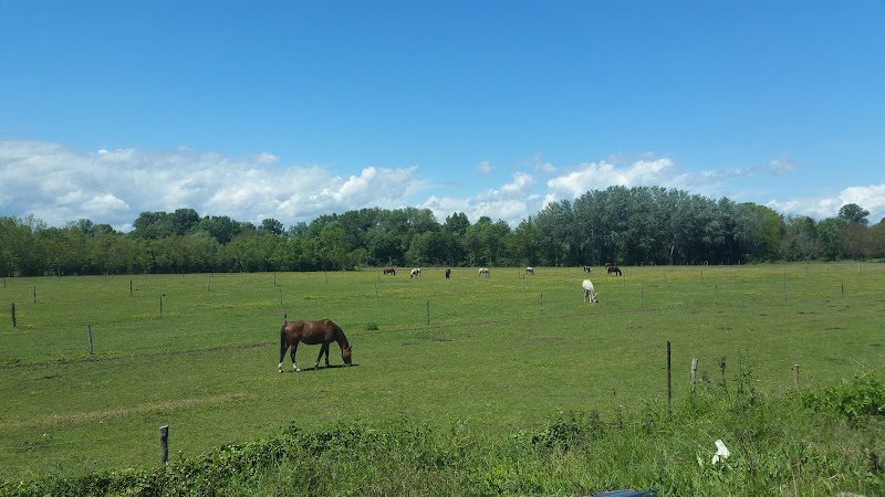 Poney-Club de Passieu - photo 1