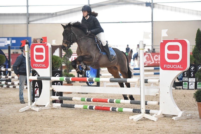 Poney-Club de Passieu - photo 3