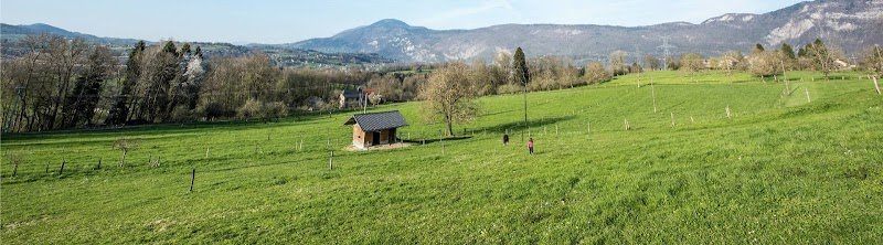 Le cheval est dans le pré - photo 3
