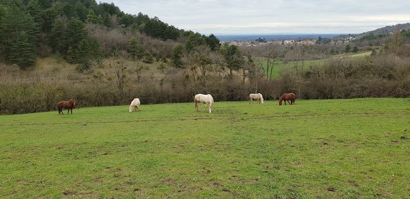 cheval bugey - photo 3