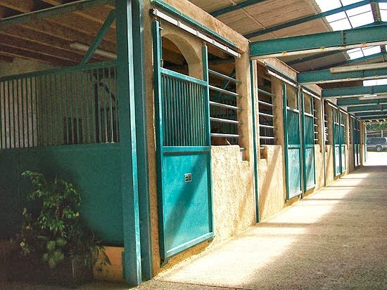 Centre Equestre Saint-Just - photo 1