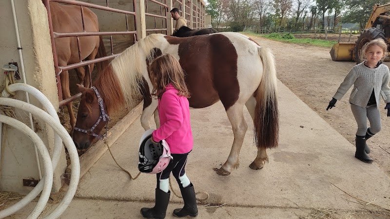 Centre Equestre Saint-Just - photo 2