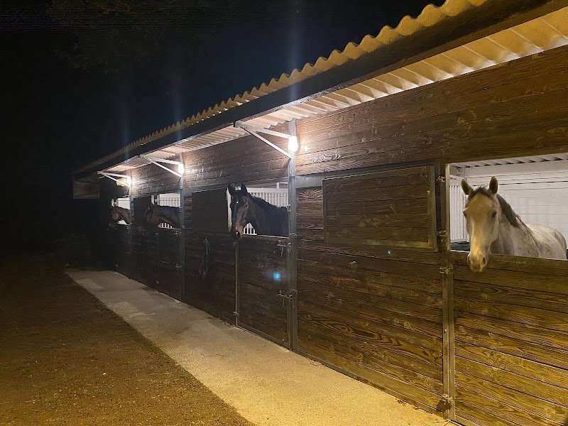 Haras de Vonnas - photo 1