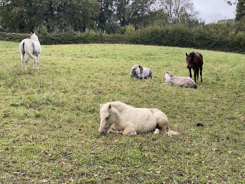 Haras de Vonnas - photo 2
