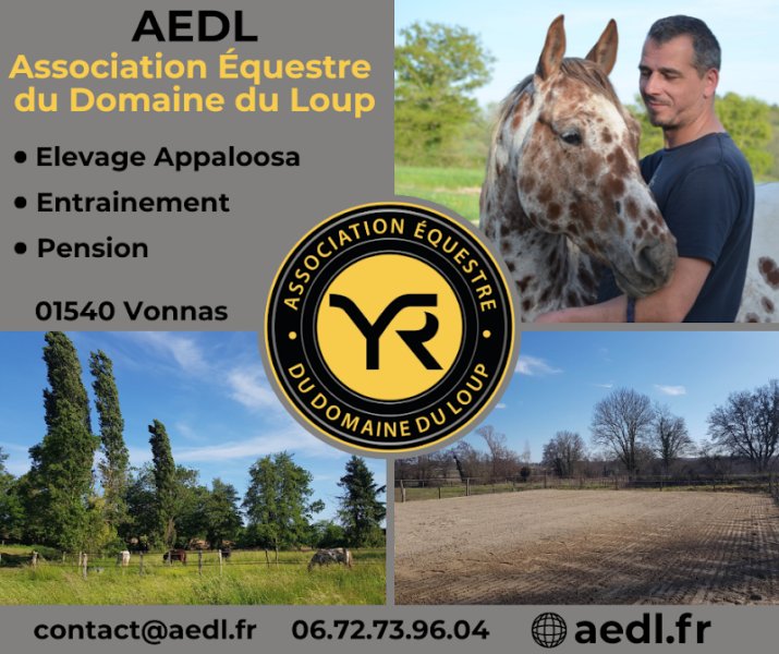 Association Équestre du Domaine du Loup (AEDL) - photo 3