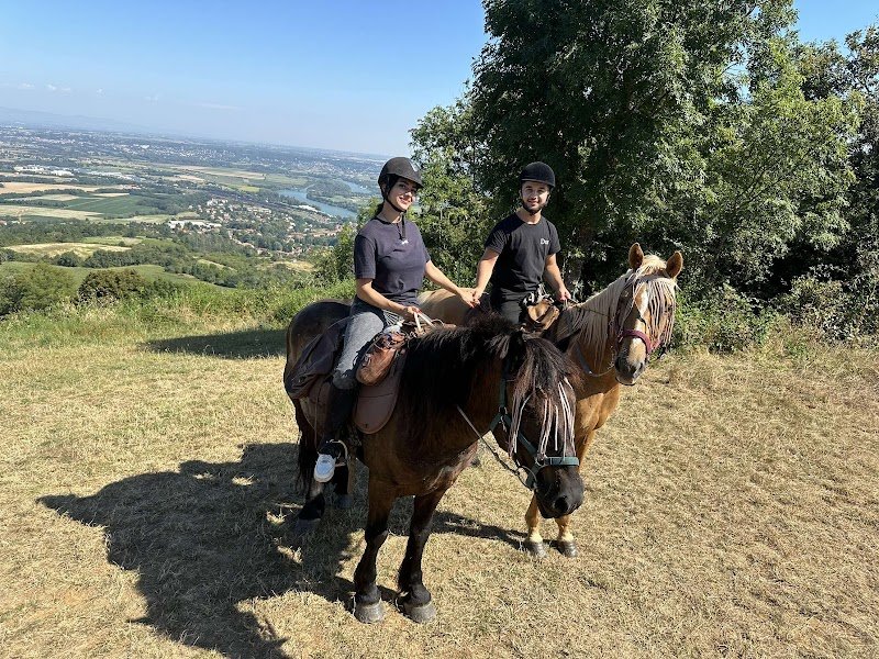 A CHEVAL RANDO LIBRE