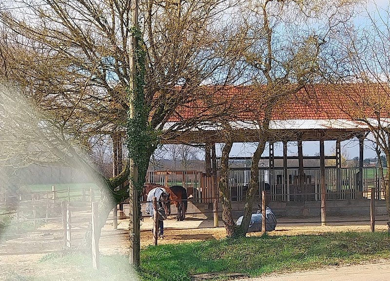 Écurie Active des Granges - photo 1