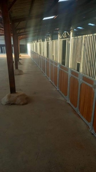 Les Écuries du Mont - Poney Club - photo 2