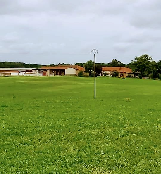 Les Écuries du Mont - Poney Club - photo 3