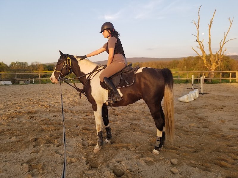 Domaine équestre des Trois Monts - photo 1