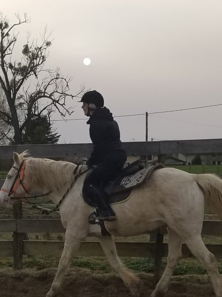 Domaine équestre des Trois Monts - photo 3