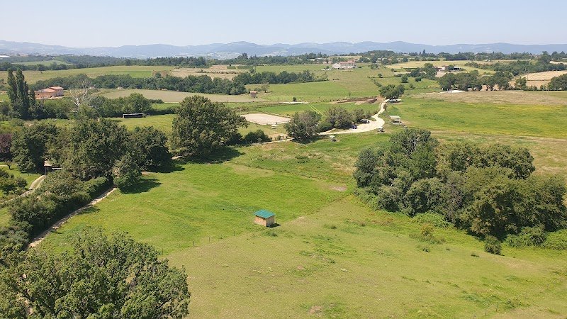 Pension équestre des Collonges - photo 1