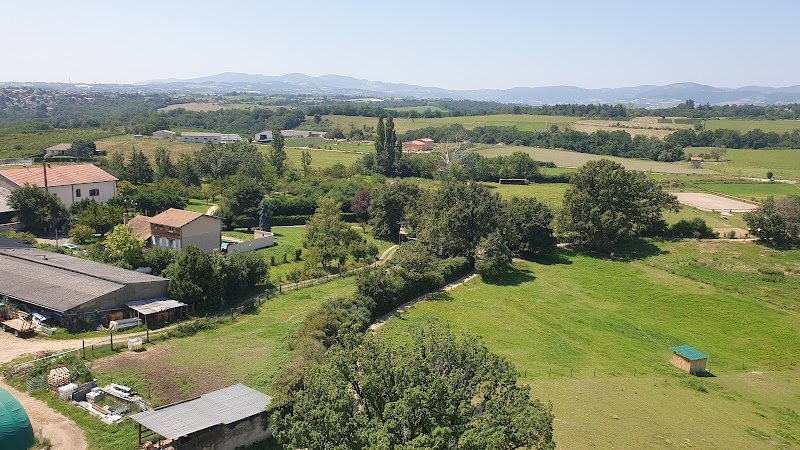 Pension équestre des Collonges - photo 2