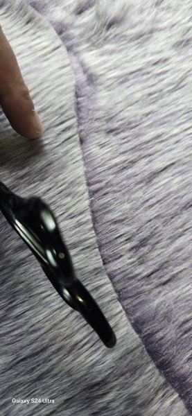 Pension équestre des Collonges - photo 3