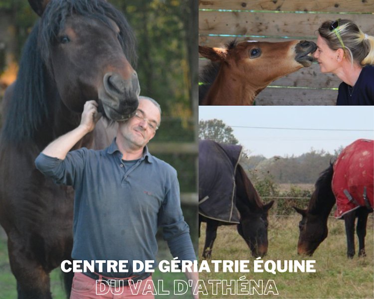 Centre de pension pour chevaux à la retraite du Val d'athéna