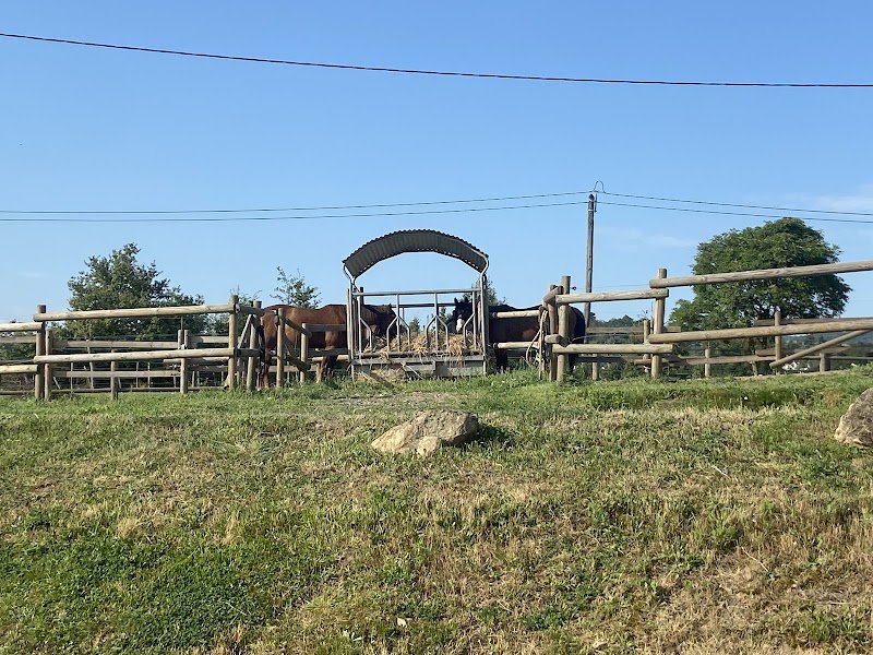 Écurie CA RANCH - photo 3