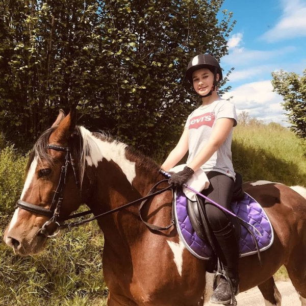 Centre équestre D'izernore - photo 3