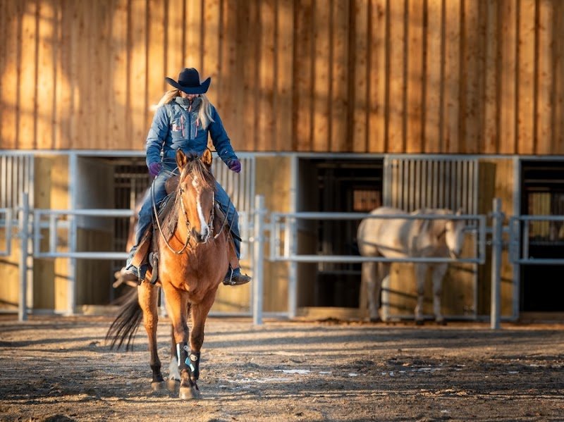 Flo Little Ranch - Pension cheval Haute-Savoie - photo 1