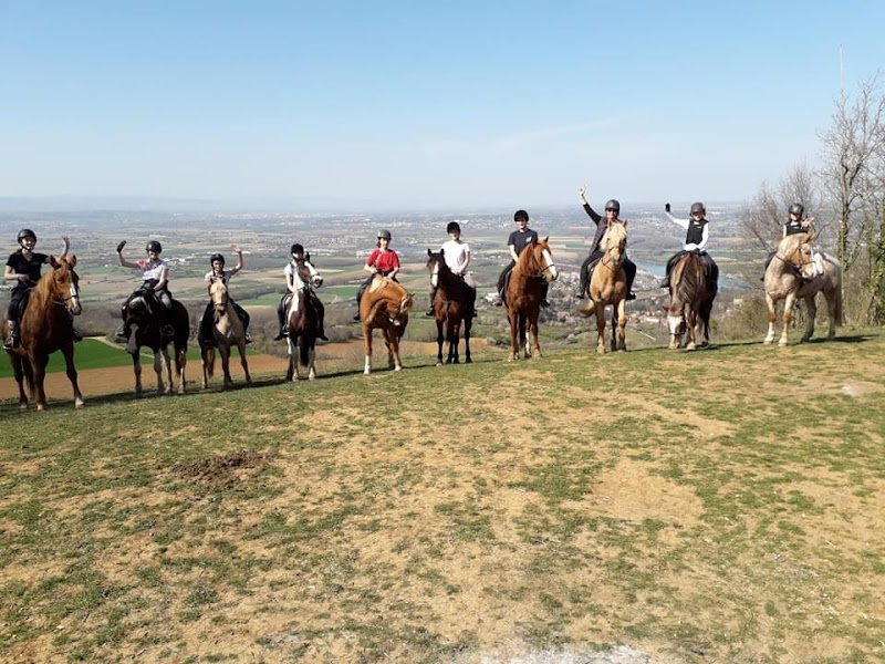 Centre Equestre des Monts d'Or - photo 1