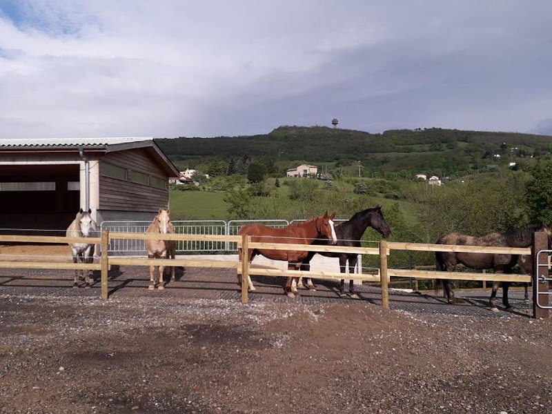Centre Equestre des Monts d'Or - photo 2
