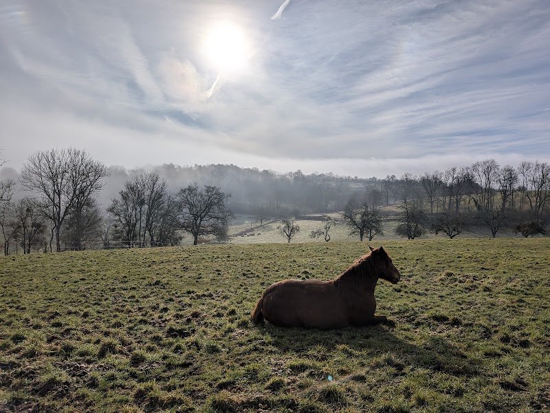 Les fermes de Champcourt pension pour chevaux