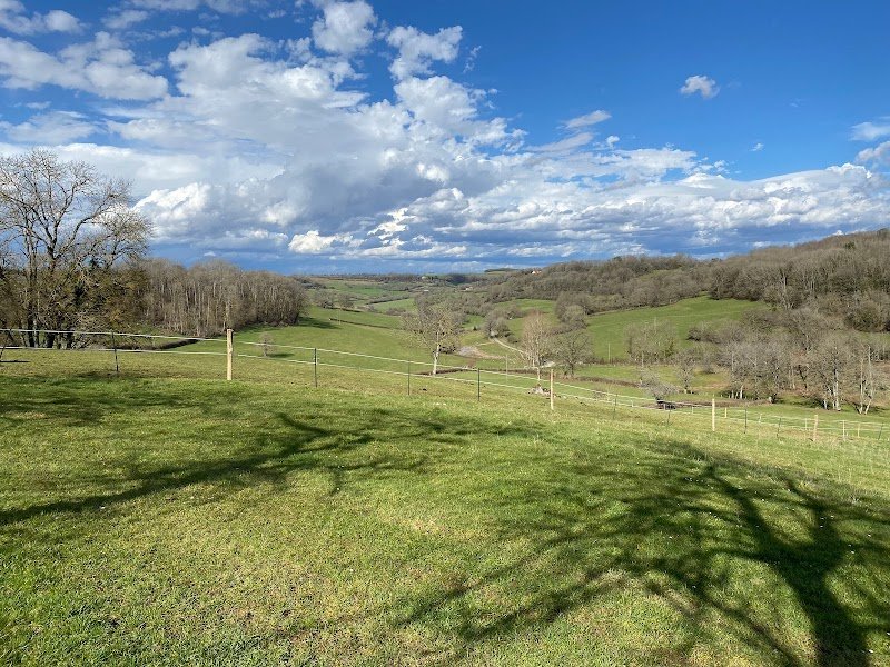 Les fermes de Champcourt pension pour chevaux - photo 2