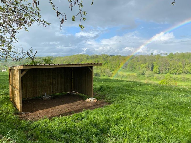 Les fermes de Champcourt pension pour chevaux - photo 3
