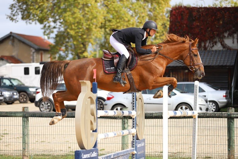 Les écuries d'Astrée - photo 2