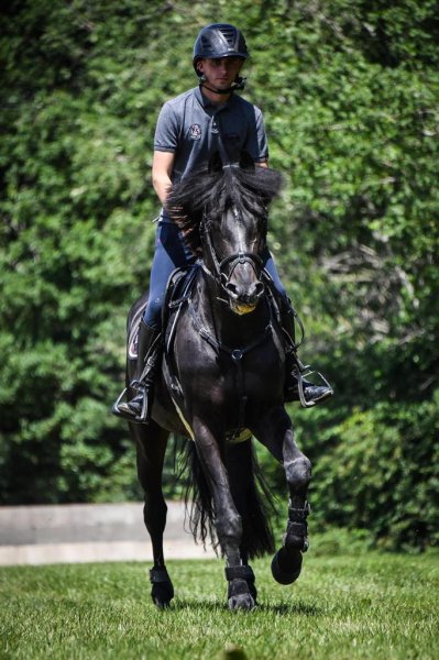 Écurie Giboulet - photo 2