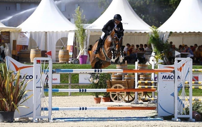 Écurie Giboulet - photo 3